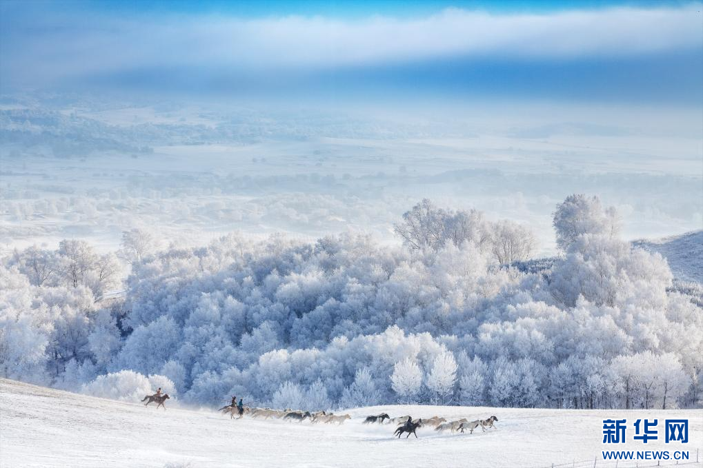 雪-不止是呼伦贝尔在整个内蒙古大