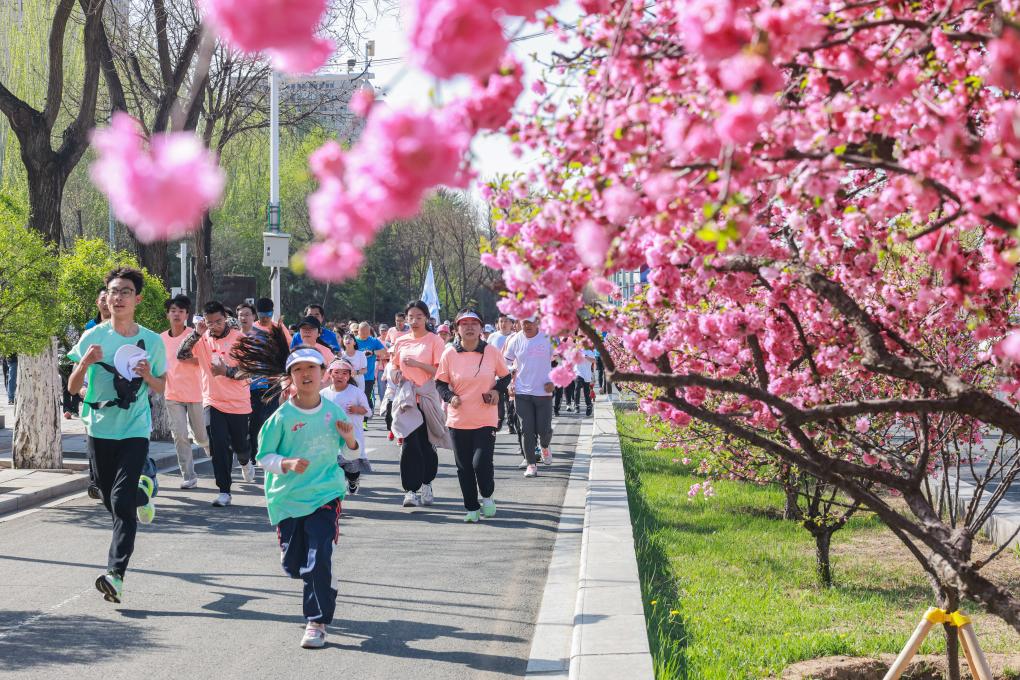 2024呼和浩特赏花旅游季系列活