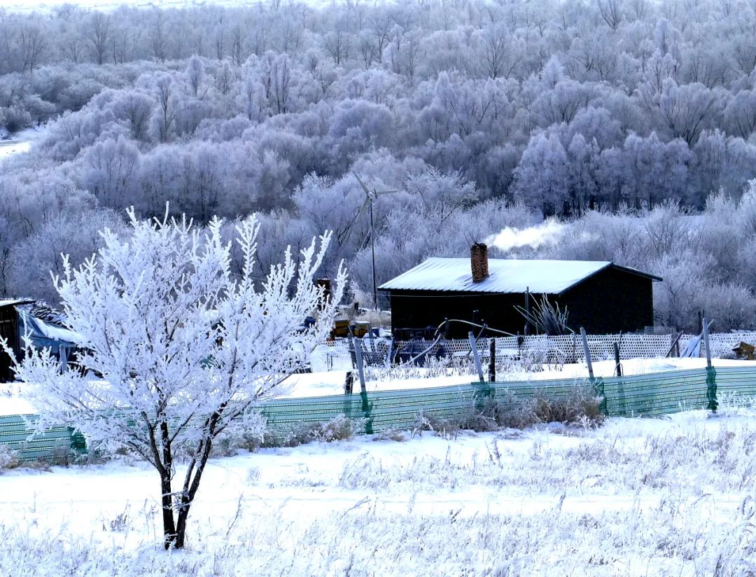 尔滨之后去哪里？额尔古纳在等你-