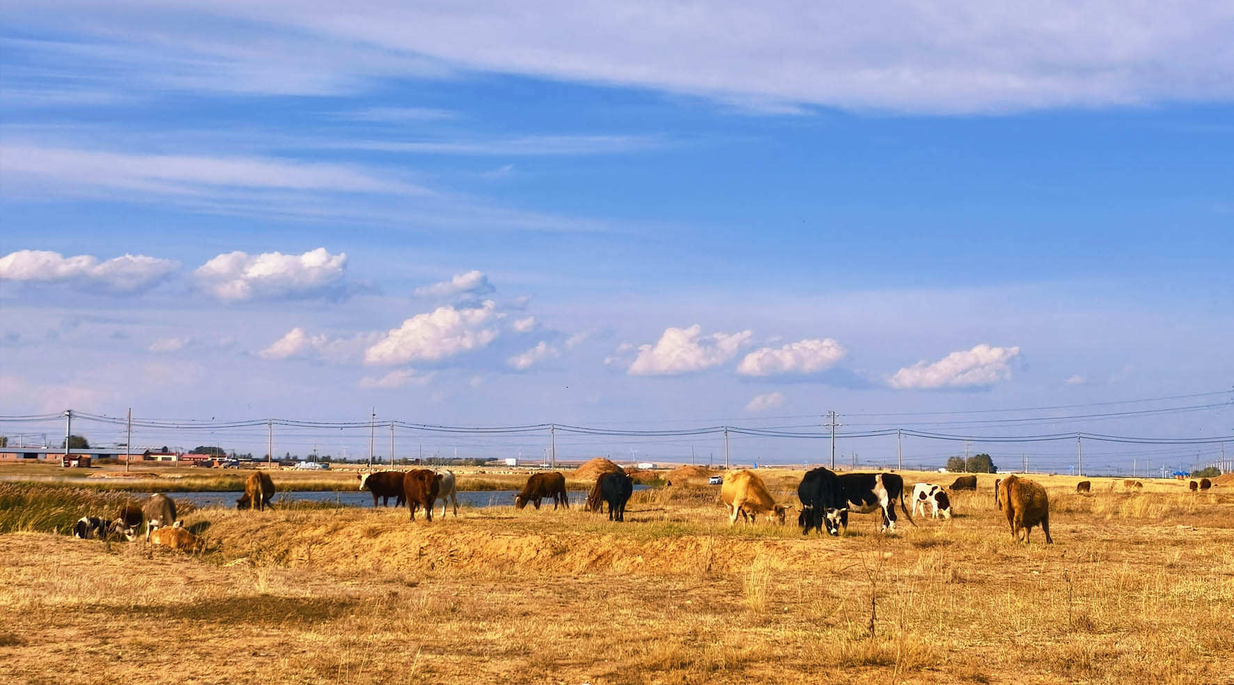 霜染草原 秋意漫天涯
