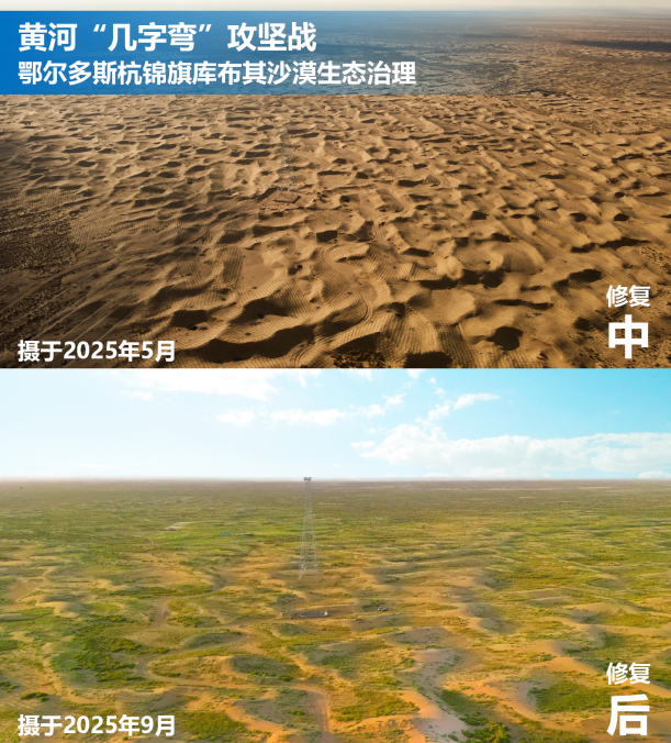 蒙草生态创新草种科技助力库布其沙