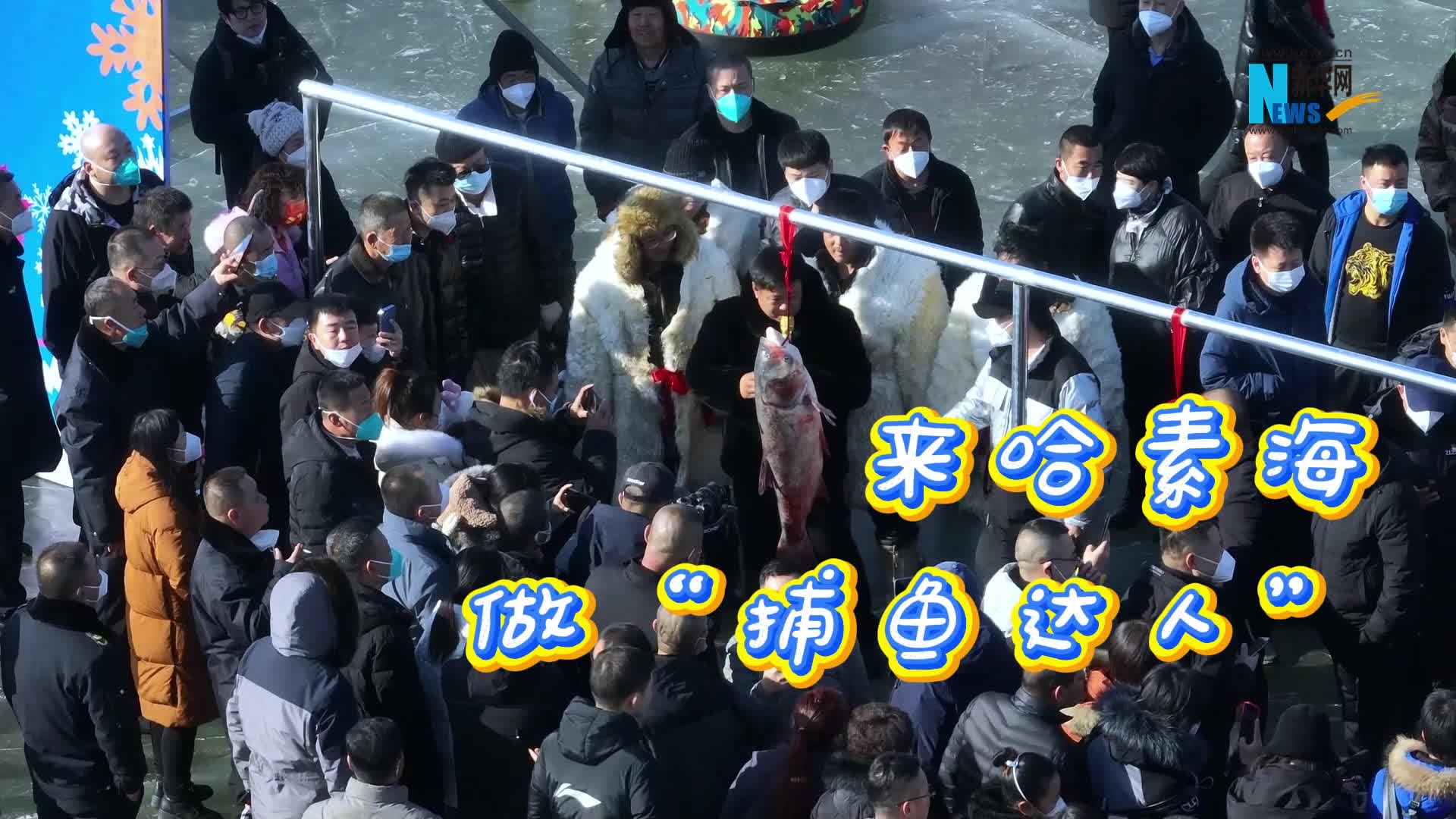 来哈素海 做“捕鱼达人”