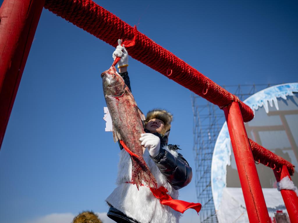 都在冬捕，哈素海第四届冬捕节究竟有何不同？