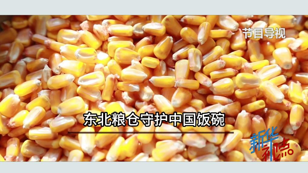 新华视点｜东北粮仓守护中国饭碗
