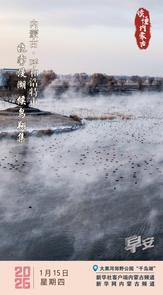 读懂内蒙古｜晓雾漫湖 候鸟翔集 内蒙古呼和浩特市
