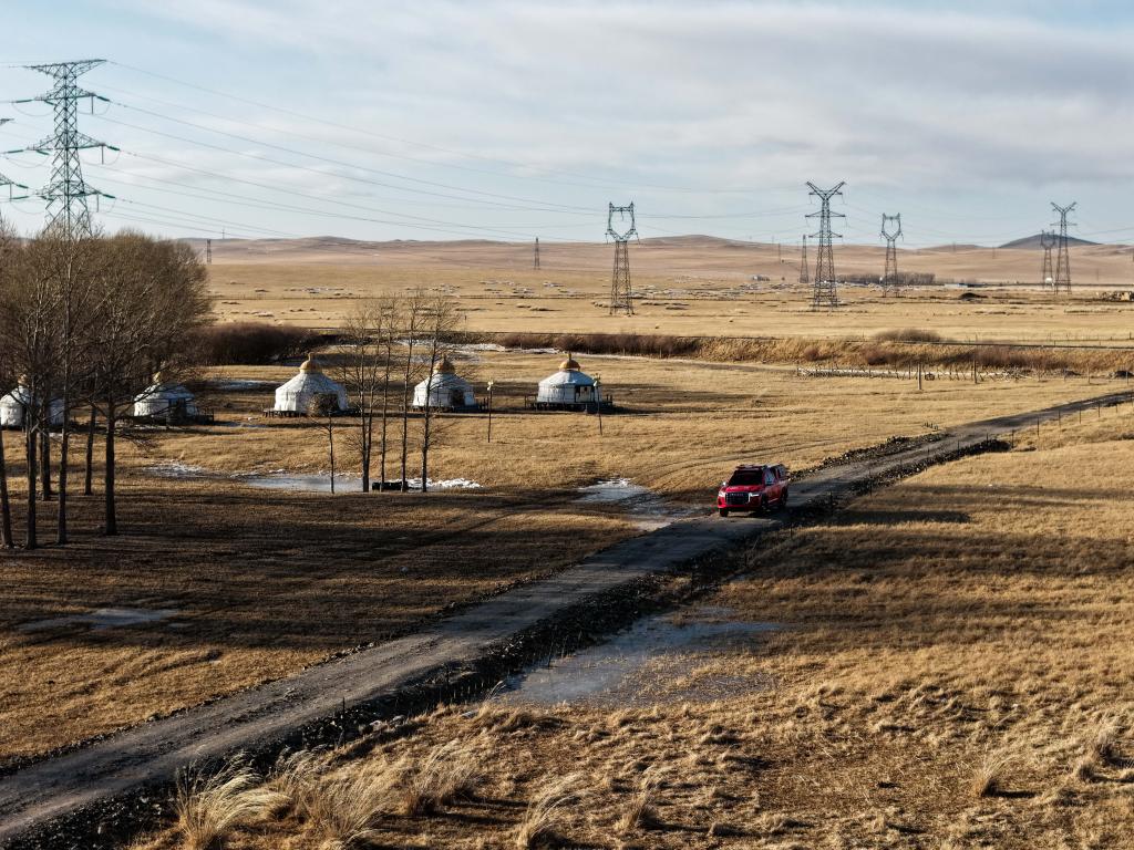 草原上的“火焰蓝”