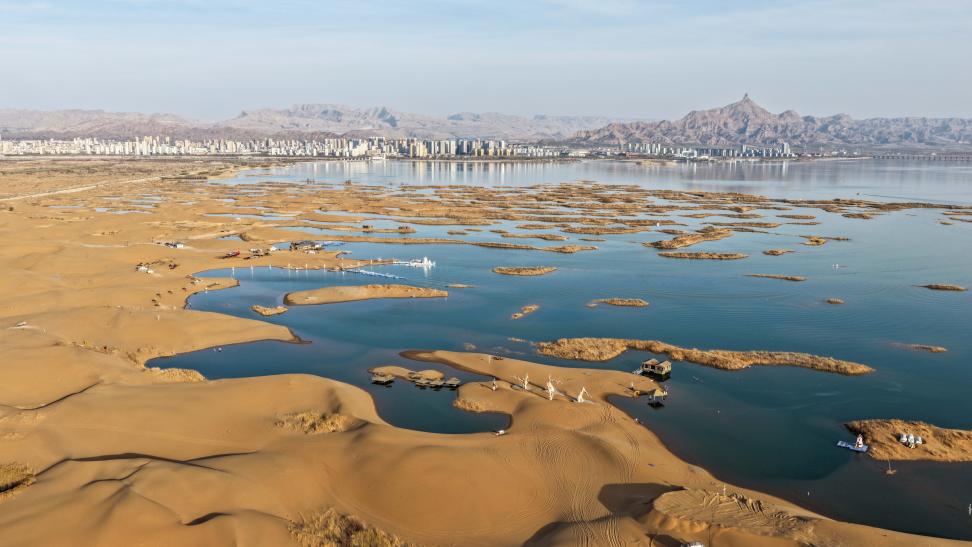 内蒙古乌海：沙水相依鸥翔集