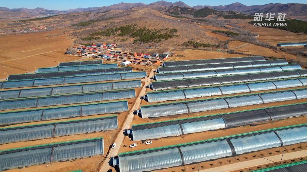 科技助春耕 种田更智能