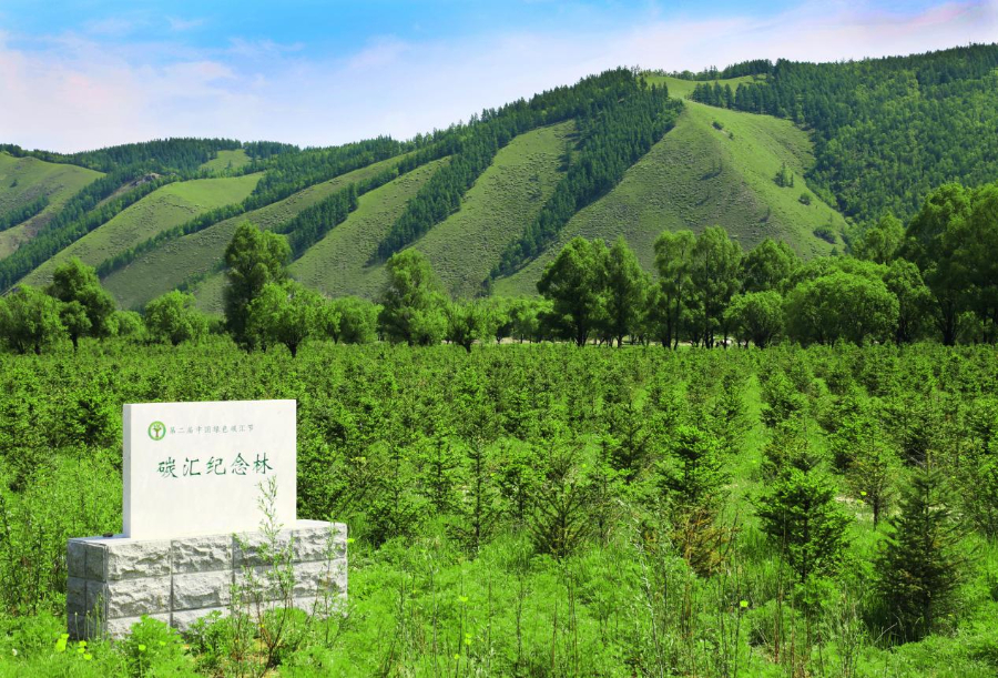 森工集团一公司入选林草碳汇项目审核机构