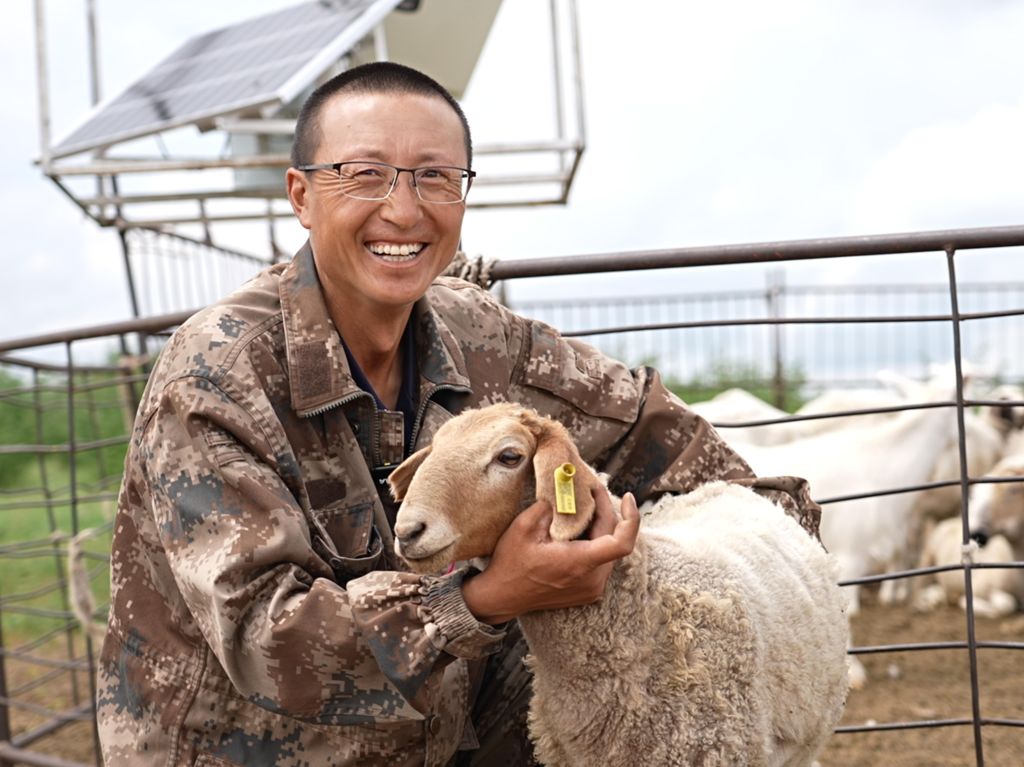 百万耳标赋智草原 一羊一码富民兴牧